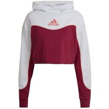 Sweatshirts à capuche adidas Hanorac