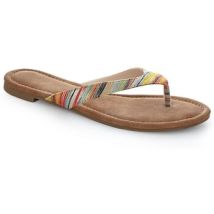 Tongs Loap Herba