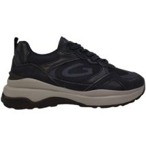 Baskets basses Alberto Guardiani AGM318404