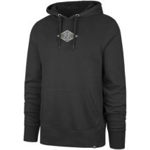 Sweatshirts à capuche '47 Brand 47 HOODIE MLB NEW YORK YANKEES IMPRINT BACKER BURNS GRAPHITE