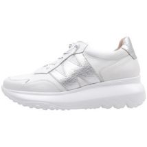 Baskets basses Wonders A-4002
