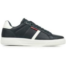 Baskets British Knights Brody