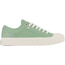 Baskets Palladium - PALLA ACE CANVAS Vintage Green