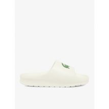 Claquettes Lacoste 39390