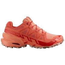 Chaussures Salomon Speedcross 6