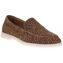 Derbies Impact 12012