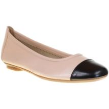 Derbies Reqin's HALCINE