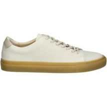 Baskets basses sneaky steve Sneaker