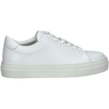 Baskets basses sneaky steve Sneaker