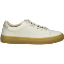 Baskets basses sneaky steve Sneaker