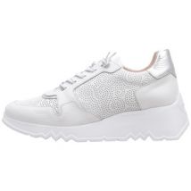 Baskets basses Wonders E-6761