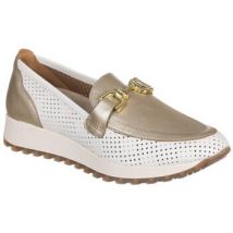 Baskets basses Kangaroos MOCASSINS 800