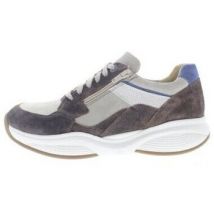 Baskets Xsensible SWX14