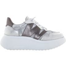 Baskets basses Wonders A-3622