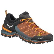 Baskets Salewa Mountain Trainer Lite