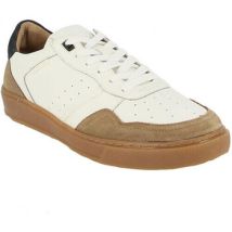 Baskets Poelman gregory-16
