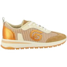 Derbies Fugitive voctus
