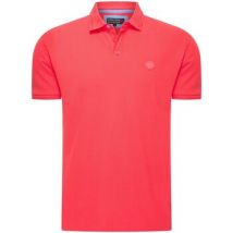 Polo Norlund Paladin Polo