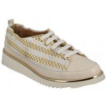 Derbies Xsa m8010
