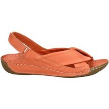 Sandales Andrea Conti Sandales