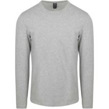 T-shirt Profuomo Longsleeve T-Shirt Gris