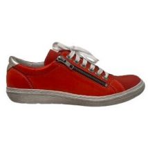 Baskets basses Chacal CHAUSSURES 6661