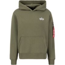 Sweatshirts à capuche Alpha Industries Signature Backprint Hoodie - sage-green