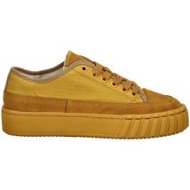 Baskets basses sneaky steve Sneaker