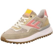 Baskets Floris Van Bommel -