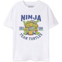 T-shirt Teenage Mutant Ninja Turtles Collegiate 1984 T-shirt à manches courtes