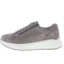 Baskets basses Solidus Ken