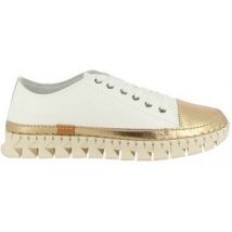 Derbies Madory alcade