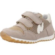 Baskets basses enfant Naturino SAMMY 2 VL.