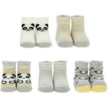 Chaussettes Cucamelon unisexe Chaussettes Paquet de 5
