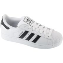 Baskets basses adidas adidas Superstar II