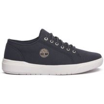 Baskets basses Timberland A66NN