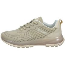 Baskets basses Bagatt Athena