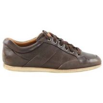 Baskets basses Bally Baskets en cuir marron