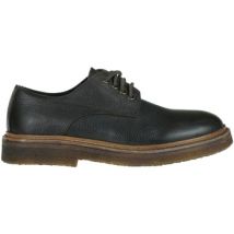 Derbies Punto Pigro CAB00006022AI