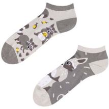 Socquettes Dedoles Socquettes Raton Laveur