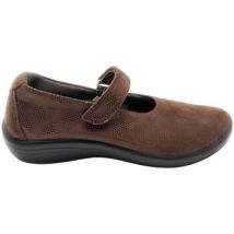 Chaussures Arcopedico BAILARINAS ESTRELA LICRA MARRON