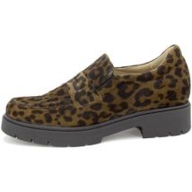 Mocassins Piesanto 255629