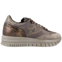 Baskets basses Cetti BASKETS 1259-XL ANTE METAL OXIDO