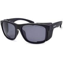 Lunettes de soleil Arctica S355