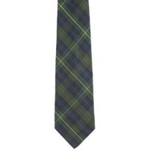 Cravates et accessoires Alain Figaret Cravate en soie verte