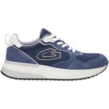 Baskets basses Alberto Guardiani AGM451104