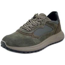 Baskets basses Imac Homme Chaussures, Sneakers en Daim, Semelle Amovible - 853550
