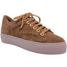 Baskets basses Agl baskets