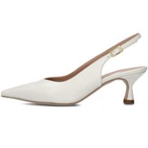 Chaussures escarpins Andrea Pinto 808