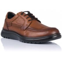 Derbies Baerchi 1210